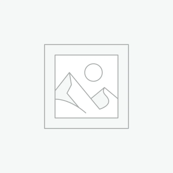 Dell xps 9310 core i7 11th gen